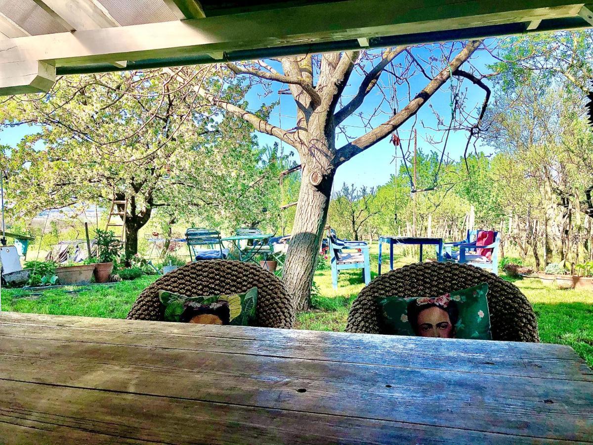 Bohemian Eco Lodge At Lake Balaton Kisapati Εξωτερικό φωτογραφία